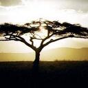 Mary Coss - @MaryCoss - Twitter