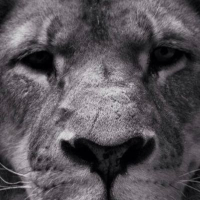 mrleyenda77's profile picture. Photographer and content producer. Citizen of the world. Travel Junkie. DM and lets create 🔥