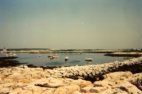 Travel Link NH, LLC is a new online travel guide for the Seacoast of New Hampshire. Come visit us!