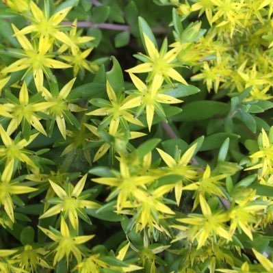 Oxf7MfygKEs1eR7's profile picture. 保健所職員