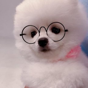 ddaddadyer's profile picture. Mundinho do Ddadda BR