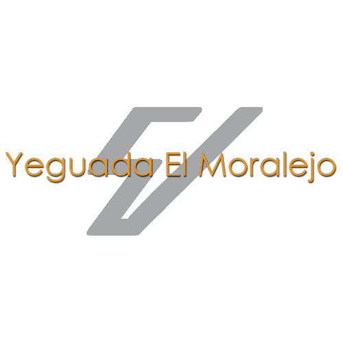Ganadería dedicada a la cria y venta de caballos de Pura Raza Española.
