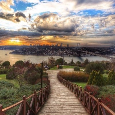 batuhanuniv's profile picture. 