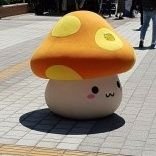 구독계지만 조금씩 활동은 무슨 현생 공부에 치였어요....
내년의 나는 멋진 사람이 되어있기를