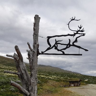 NordicRene's profile picture. Have Fun with Nordic Sports & Mountain Bike 🥰