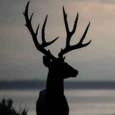 otherfromfuture's profile picture. More Info dcislandmind@gmail.com