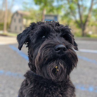 itoodummy222's profile picture. @ominousaio | puds#0001