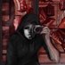 Na알파카🎮 (@naalphacana) Twitter profile photo Na알파카🎮 (@naalphacana) Twitter profile photo