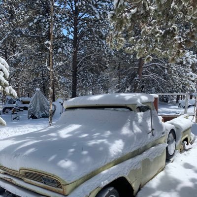 MattZieden's profile picture. 