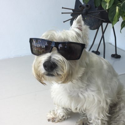 Real_Felipe's profile picture. 
