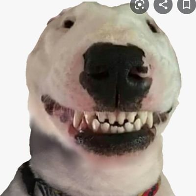 FortniteKng's profile picture. gamer
rainbow six siege player