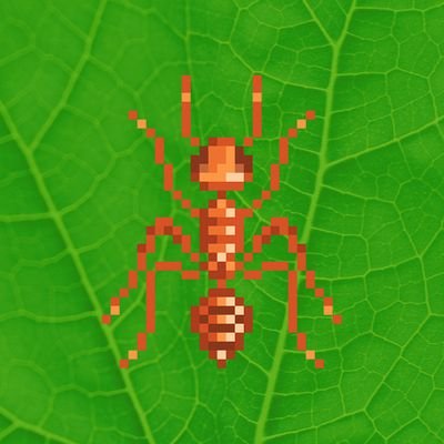 Ants-Review (🐜 , 🌱) 🦇🔊