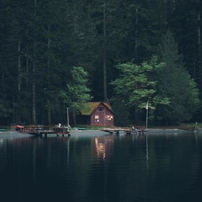 IMRS9871's profile picture. care giver ,#humanityFirst