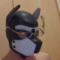 ゆう@メガネ犬🔞 (@yuu_gaykemo) Twitter profile photo