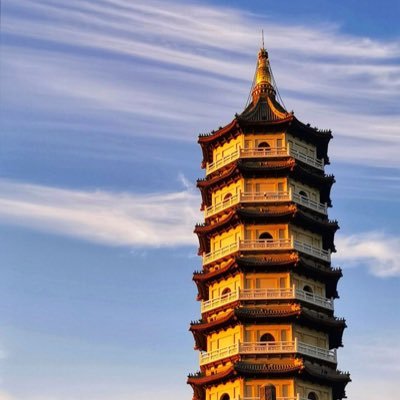 malasang4431's profile picture. do something, and something different.