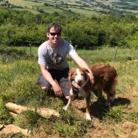 Adam Smith-Collins (@dr_adamsc) 's Twitter Profile