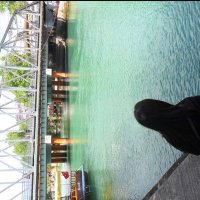 Cansu Mızrak (@_canimsu_) 's Twitter Profile