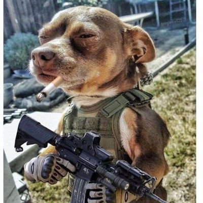 BlakeG228's profile picture. 38 year old father of two. Enthusiast of Video Games and a student of Business with an Entrepreneurial Spirit. I am Pro-2nd Amendment. I am an Independent.