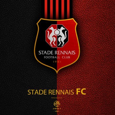 Info sur le mercato du Stade Rennais