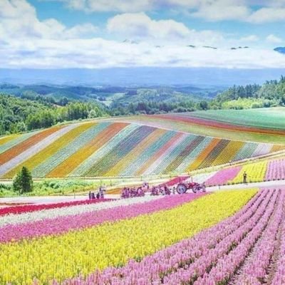 Sm98732240's profile picture. 