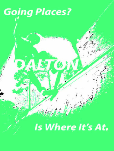 VisionofDalton's profile picture. We are creating a vision for the future of Dalton, GA. The vision that we created contains 3 alternative scenarios.