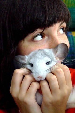 OrangeFrau's profile picture. Handmade Polymer Clay jewelry designer. Addicted to cyberspace, mass communications, Internet, social networks, PC games, design and dream development %)