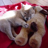 maknak (@maknak0621) Twitter profile photo