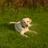 dorset05251's profile image
