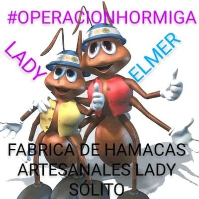Hamacas 100%Artesanales de hilos de algodón y poliester ensus colores favoritos y diseños, como chongas cortinas o nombres haga su reservacion