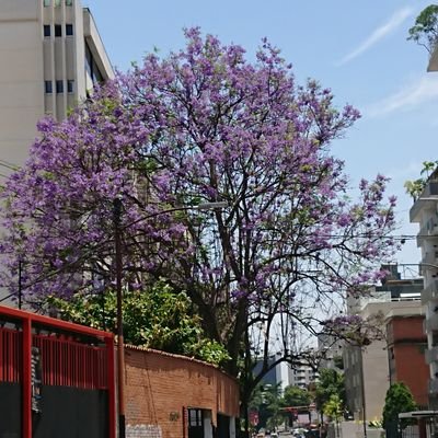 Vaya por ahí destilando alegría, que quien la reconozca se une a la fiesta. Abogado, ciclista, fotógrafo #alumnirmtf.