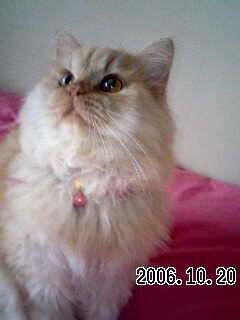 100ctFl's profile picture. 