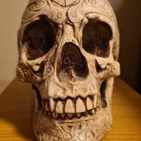 CZASZEK (@dareksenator) 's Twitter Profile