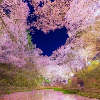 I want to be able to speak #English #中文 I want to send the work that only I can do to the world・I want to do my job while traveling around the world #f4f #无农药