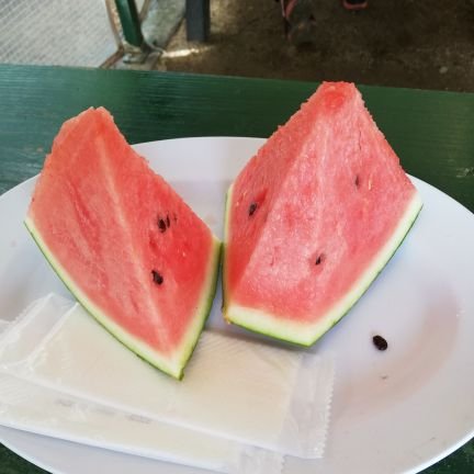 seasunsuki's profile picture. 海と太陽が大好き💞育児休業中なので懸賞垢作りました🎉
懸賞のリツイートばかりなのでミュートして下さい😊
育児の合間になるので、ペースはゆっくりです✨