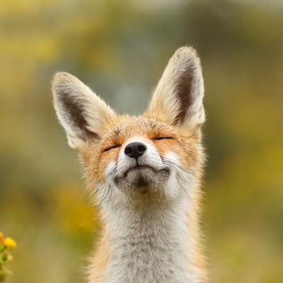 EstarTrik's profile picture. 