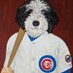Tyson Powers (@pizzafalls) Twitter profile photo