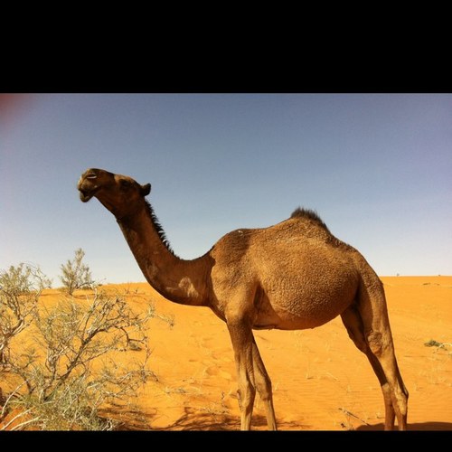 aibm98's profile picture. 