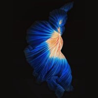 ᎯᎽᗰᎯᏁᎯᏰᏧᏋᏝᏡᎯᏇᎯᏰ (@aymanabdeltawa) 's Twitter Profile