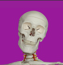 DocBulim's profile picture. Bibliothèque Santé (Médecine Pharmacie) de l'Université de Limoges