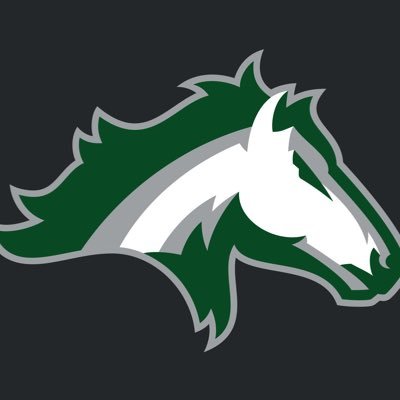 Official Twitter account for Kennesaw Mountain High School Athletics. Go Mustangs!   https://t.co/f6GXuCodDX