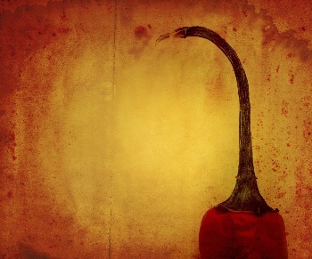 merkmanagement's profile picture. Peper prikkelt en geeft smaak. Aan mensen, merken en organisaties. Peper Merkmanagement: voor prikkelende #marketing en #merk tweets.