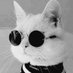 Esgi (@ezgi1var1yok) Twitter profile photo