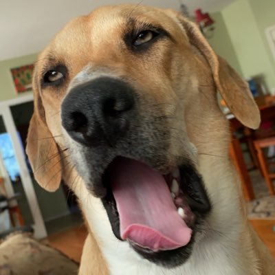 Ironlvlan's profile picture. 