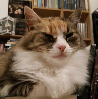 CineMovies1's profile picture. Mi mundo: música, libros y películas