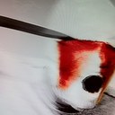 rick prescott - @rickyprescott - Twitter