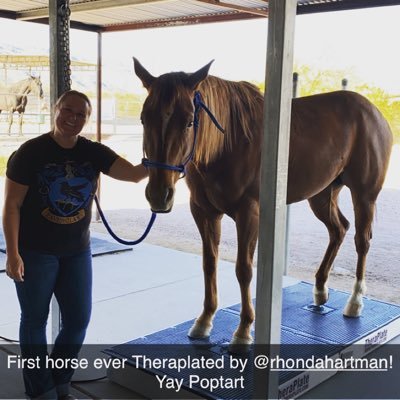 TheraPlate is a vortex wave therapy for horses, small pets, and humans!