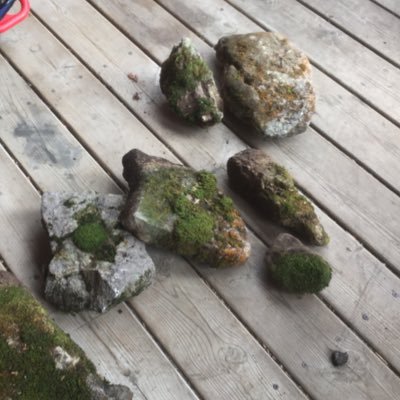 meesh5sympatic1's profile picture. 