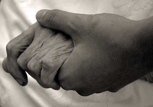 paliativos's profile picture. Recopilo información y enlaces de interés sobre cuidados paliativos.