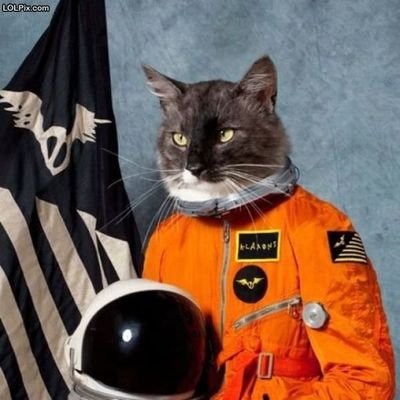 Yeah, I think I've seen enough. I'm ready to go to Mars.
