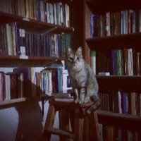 Juan Manuel livieri (@juan_livieri) 's Twitter Profile